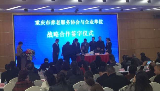 盛鸿国际(中国游) - 官方网站